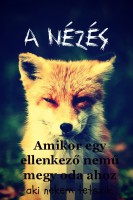 /album/fenykepgaleria/a-nezes-jpg/